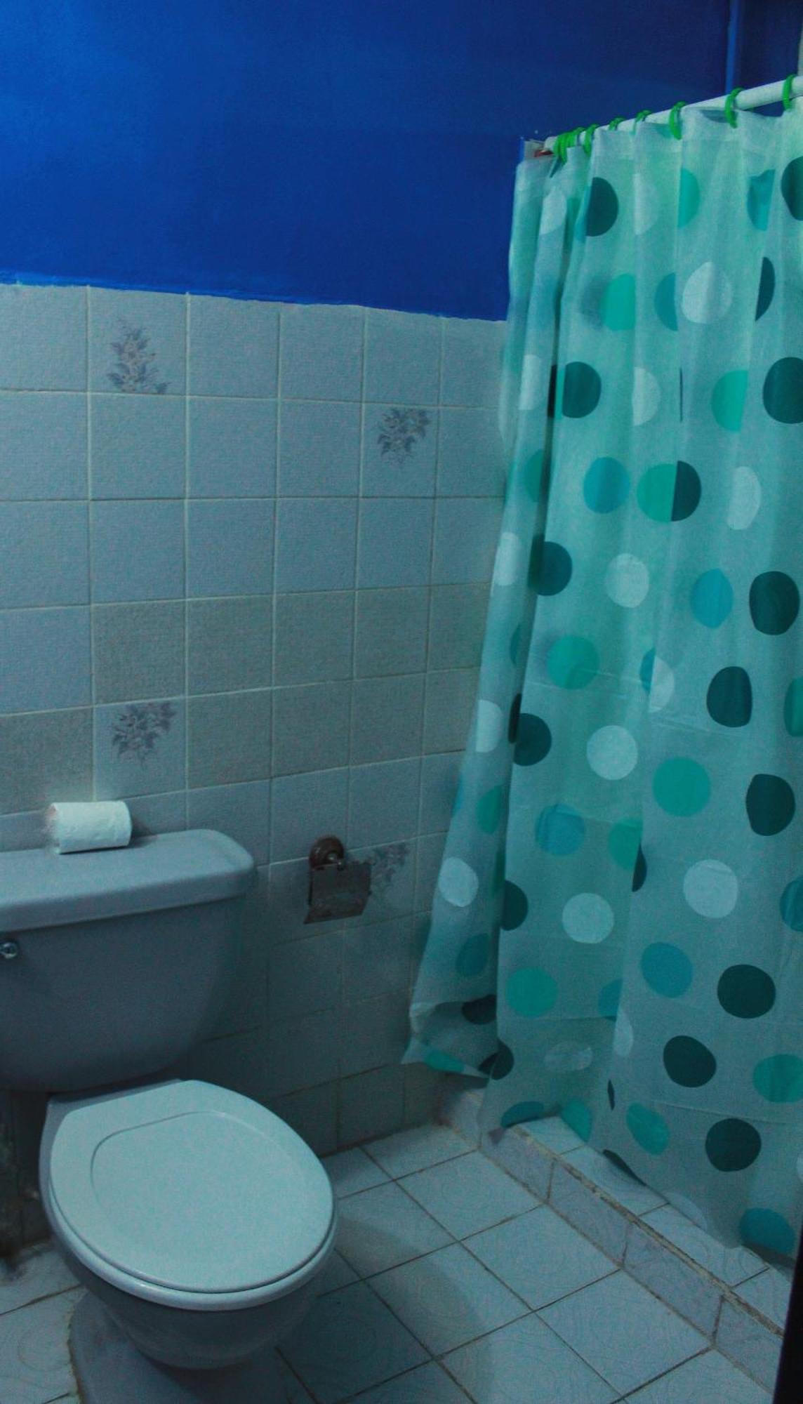 בוקס דל טורו Twin Fin Hostels מראה חיצוני תמונה