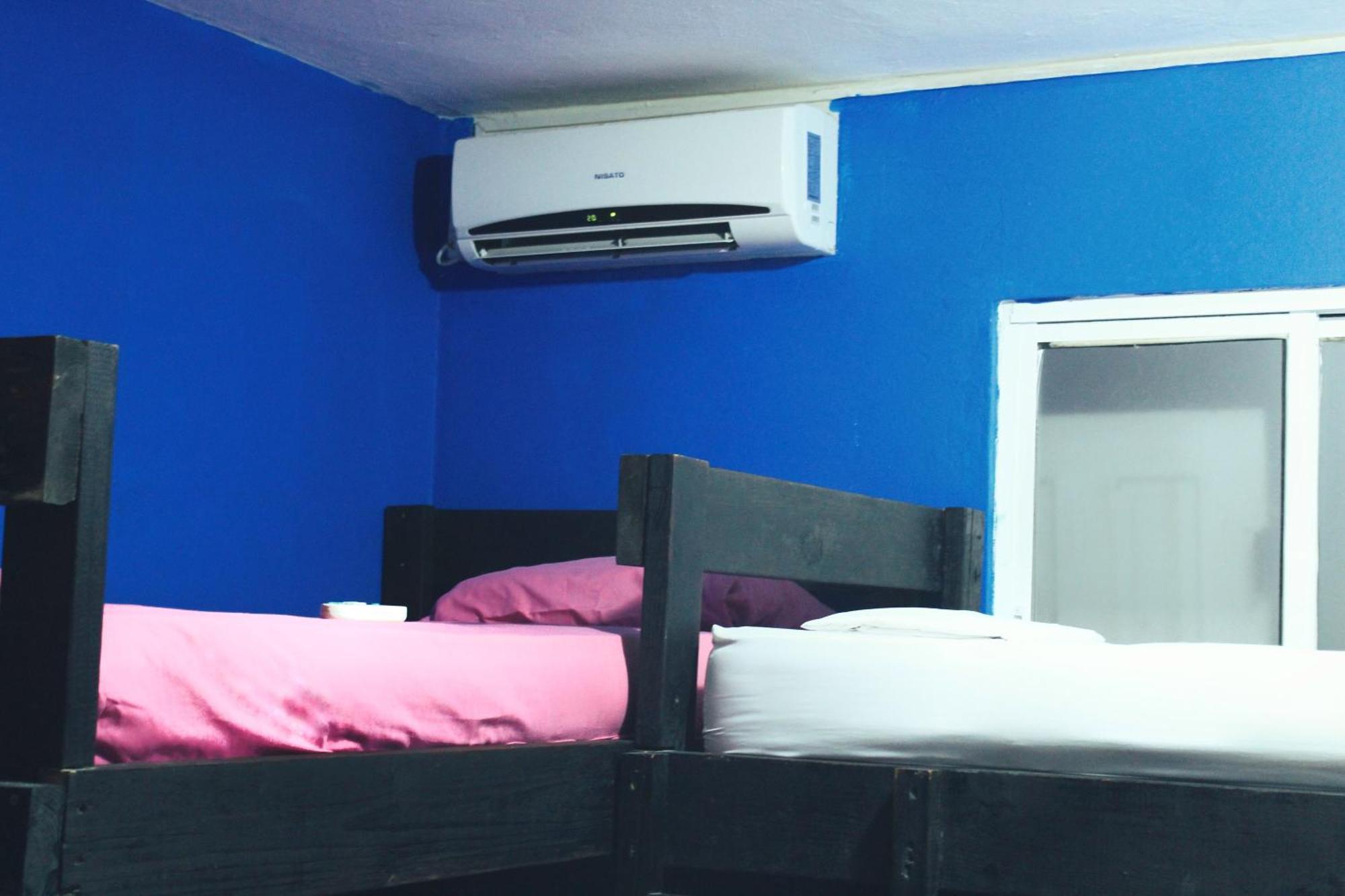 בוקס דל טורו Twin Fin Hostels מראה חיצוני תמונה