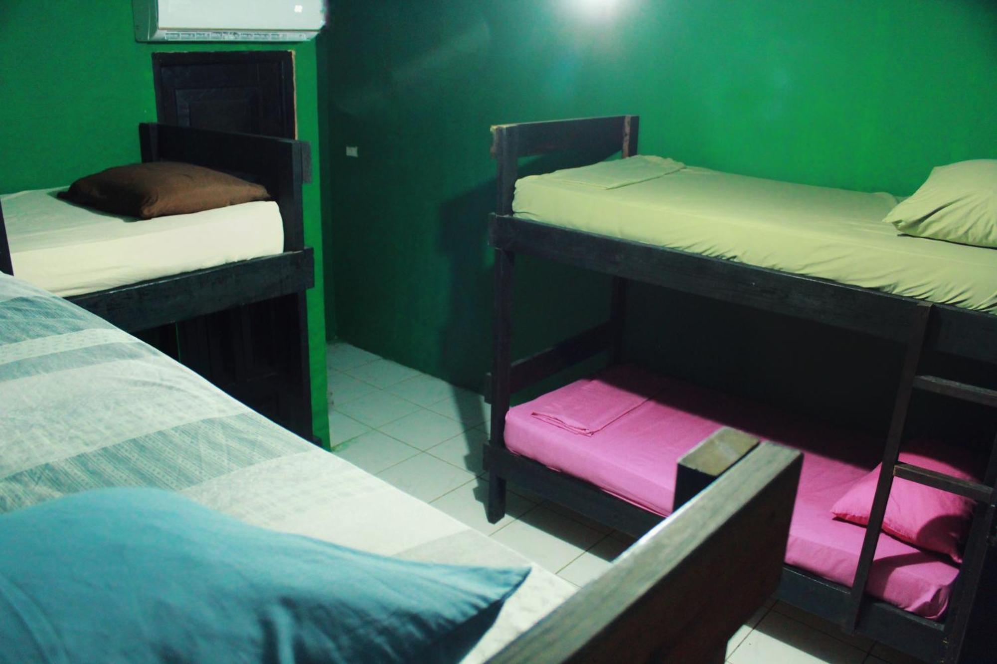 בוקס דל טורו Twin Fin Hostels מראה חיצוני תמונה